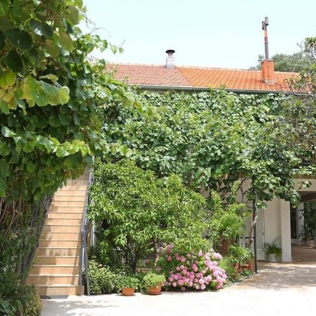 Apartments With A Parking Space Bibinje, Zadar - 18843 Exterior photo